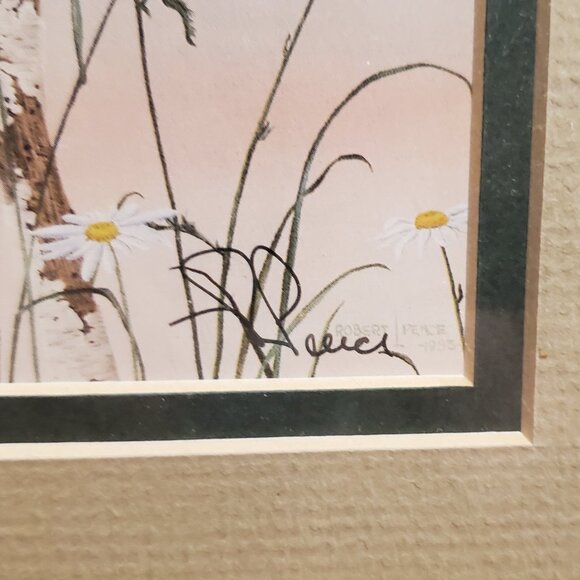"Bluebirds & Daisies" Small Framed Print By Robert Pence - Picture 6 of 6